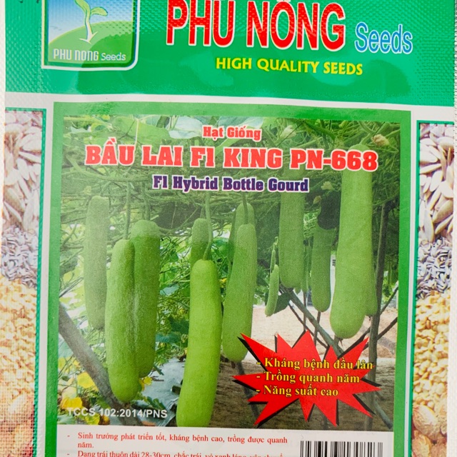 Hạt giống bầu
