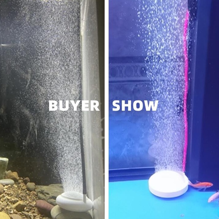 Thiết Bị Sục Khí Oxy Dành Cho Bể Cá Cảnh
