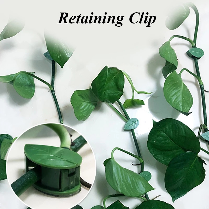 Set 10 Kẹp Cố Định Cây Leo Treo Tường Vô Hình Tiện Dụng