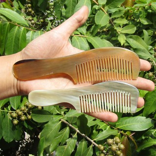 Lược Sừng Bỏ Túi xuất Nhật Cỡ S,M Màu Ngẫu Nhiên