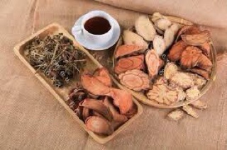 Cỏ máu tăng cân bổ máu