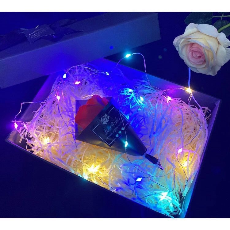 Đèn led trang trí phòng mô phỏng đom đóm kèm sẵn pin 1m/2m