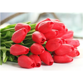 Combo 10 Hoa lụa tulip giống thật đến 99%