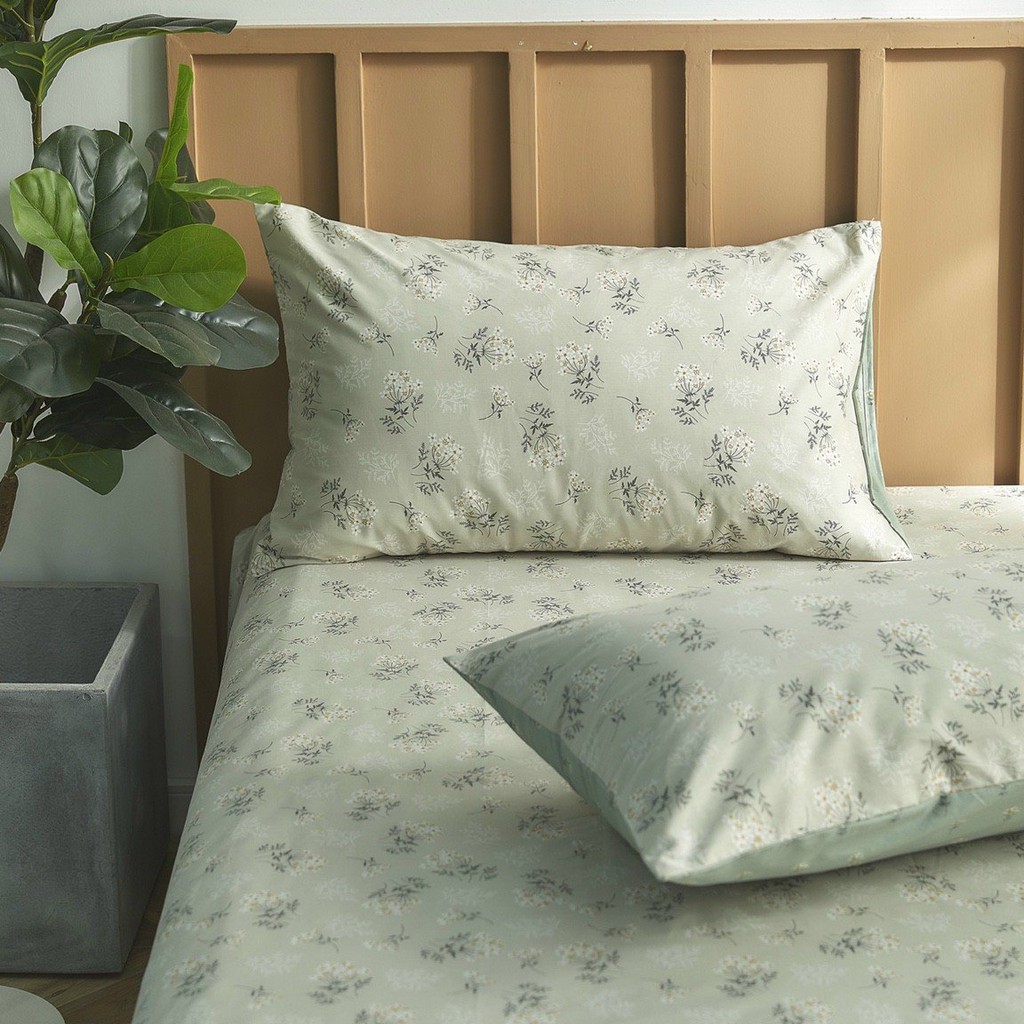 TH SET ga gối cotton 100% nguyên chất (1 ga 2 vỏ gối)