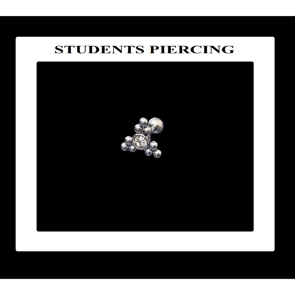 KHUYÊN TAI HÌNH BI ĐÁ CHÂN VẶN CÁ TÍNH - KHUYÊN THÉP KO GỈ