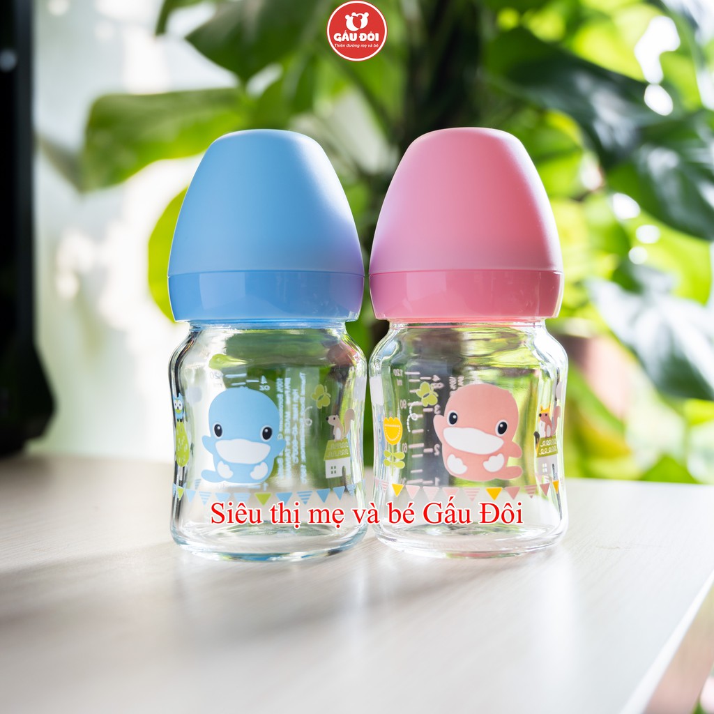 Bình sữa Kuku cổ rộng thủy tinh cho bé 120ml Ku5864 gấu đôi
