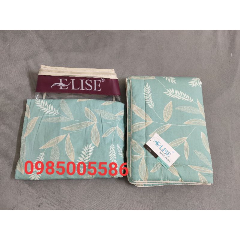 (Free ship) Ga gối cotton 100% cao cấp elise hàng công ty