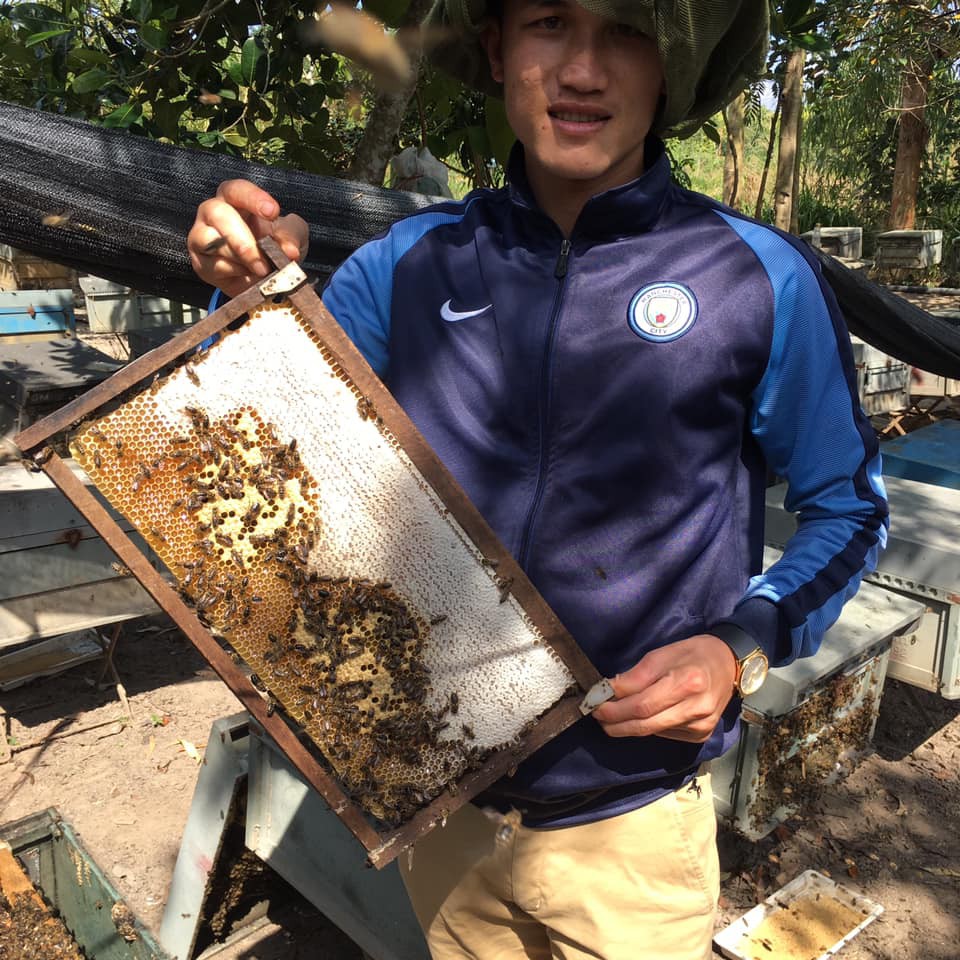 Mật ong Rừng Tây Nguyên - 1 lít - nguyên chất