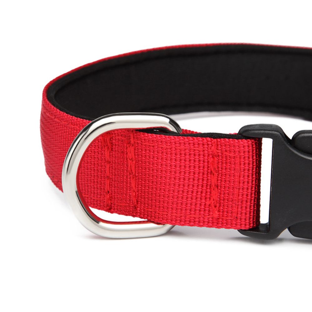 1 Vòng Đeo Cổ Màu Trơn Có Thể Điều Chỉnh Cho Thú Cưng Cỡ Vừa / Lớn / Lớn / Lớn / Nhiều Màu Sắc Tùy Chọn