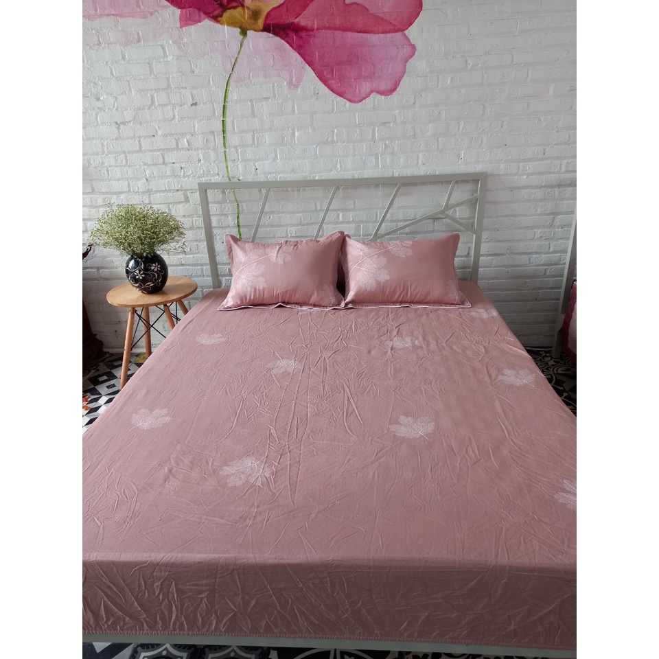Ga chun không chần/Bộ ga chun 2mx2.2m Không Chần Sông Hồng chất cotton