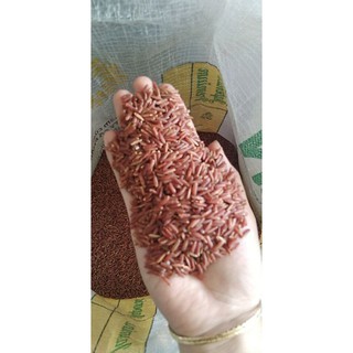 1kg Gạo lứt đỏ huyết rồng