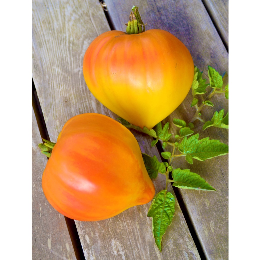 Phân hữu cơ vi sinh cao cấp Đầu Trâu HCMK7 Trichoderma + TE 1Kg