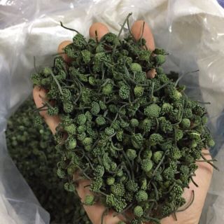 700gr nụ tam thất bao tử thượng hạng