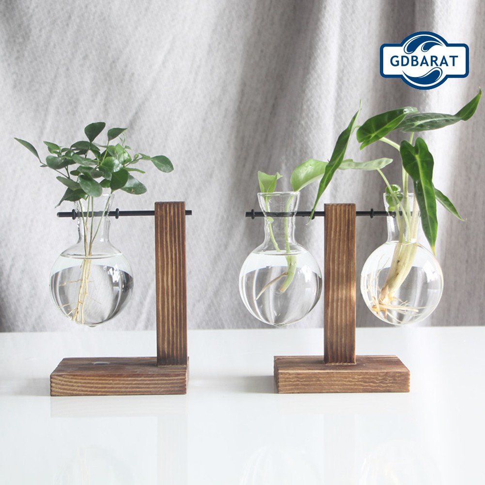 Chậu Hoa Bằng Thủy Tinh Trong Suốt Kèm Khung Gỗ Độc Đáo Tiện Dụng