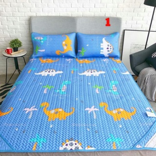 Chiếu điều hòa Tencel hàng nội địa trung ương