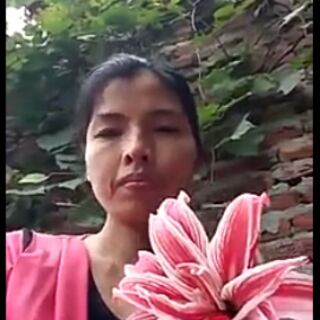 loa kèn đỏ kép