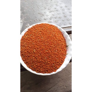 Phấn hoa cỏ kim ( càng cua, xuyến chi )