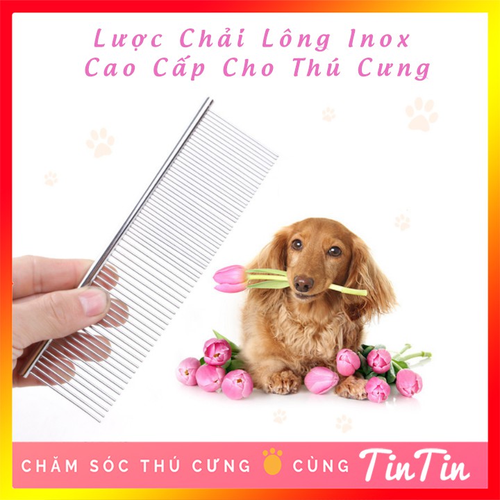 Lược Chải Lông Spa Inox Cho Chó Mèo Giá Rẻ #Tintin Pet Store