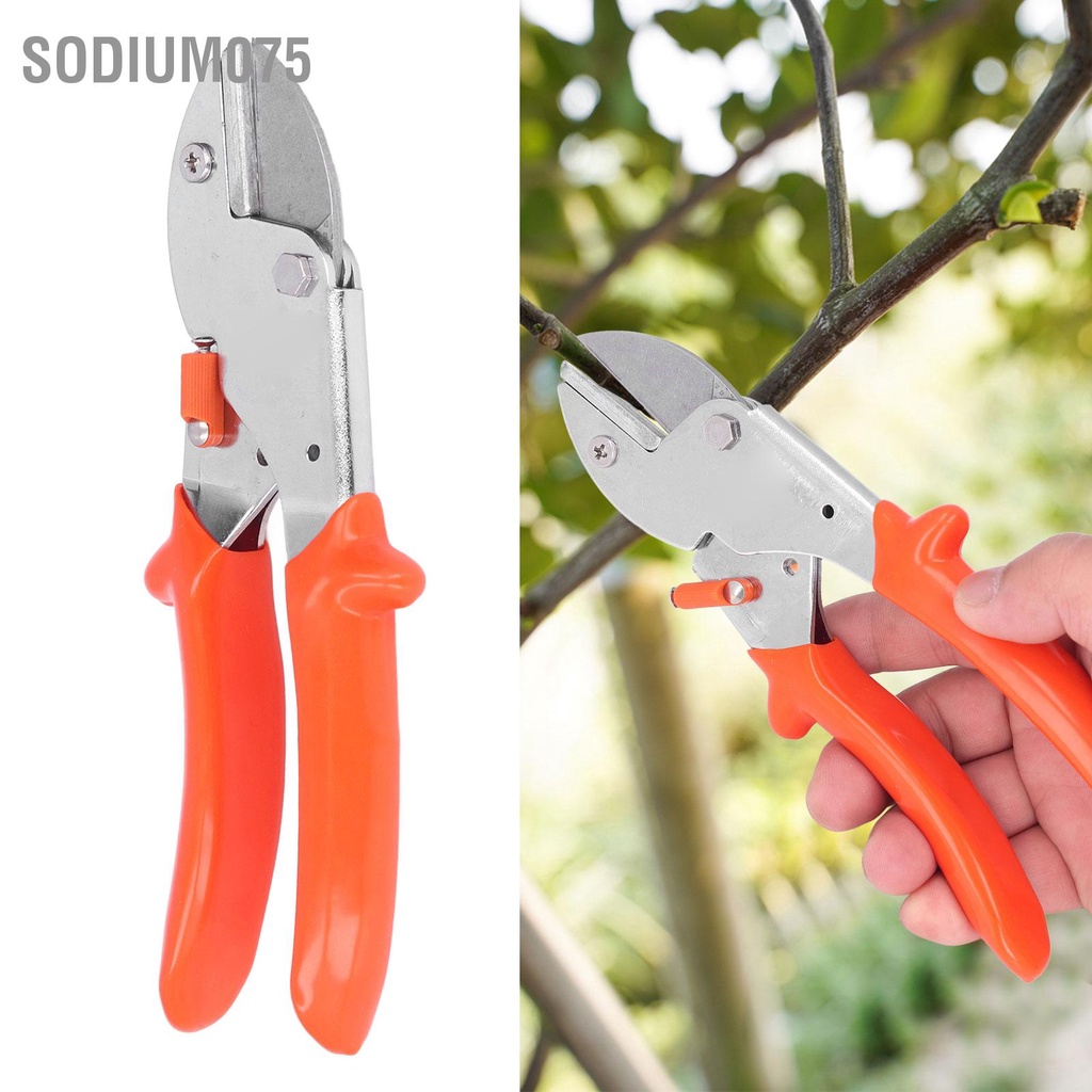 Có thể bán buôn Kéo cắt tỉa Di động hình dạng đầu cá có kích thước trung bình được xây dựng trong mùa xuân Tiết kiệm sức lao Làm vườn Sodium075 Hàng giao ngay
