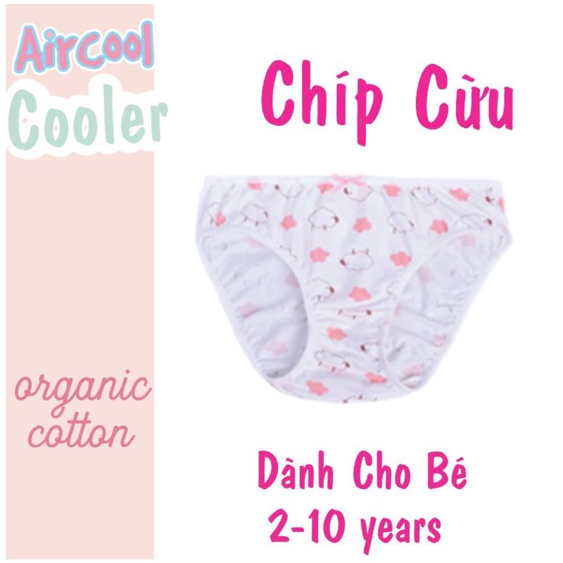 Quần chip cừu aircool 2-10y