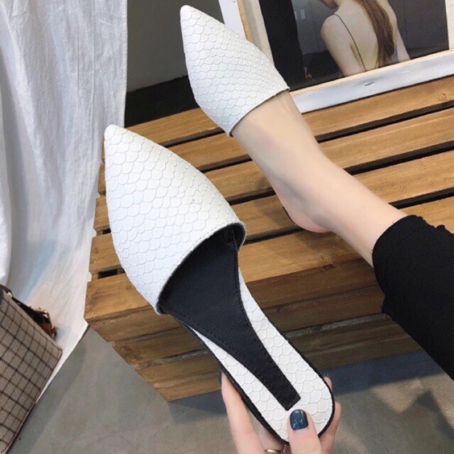 Sục mũi nhọn (kèm ảnh thật)