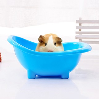 Bồn tắm cho chuột hamster