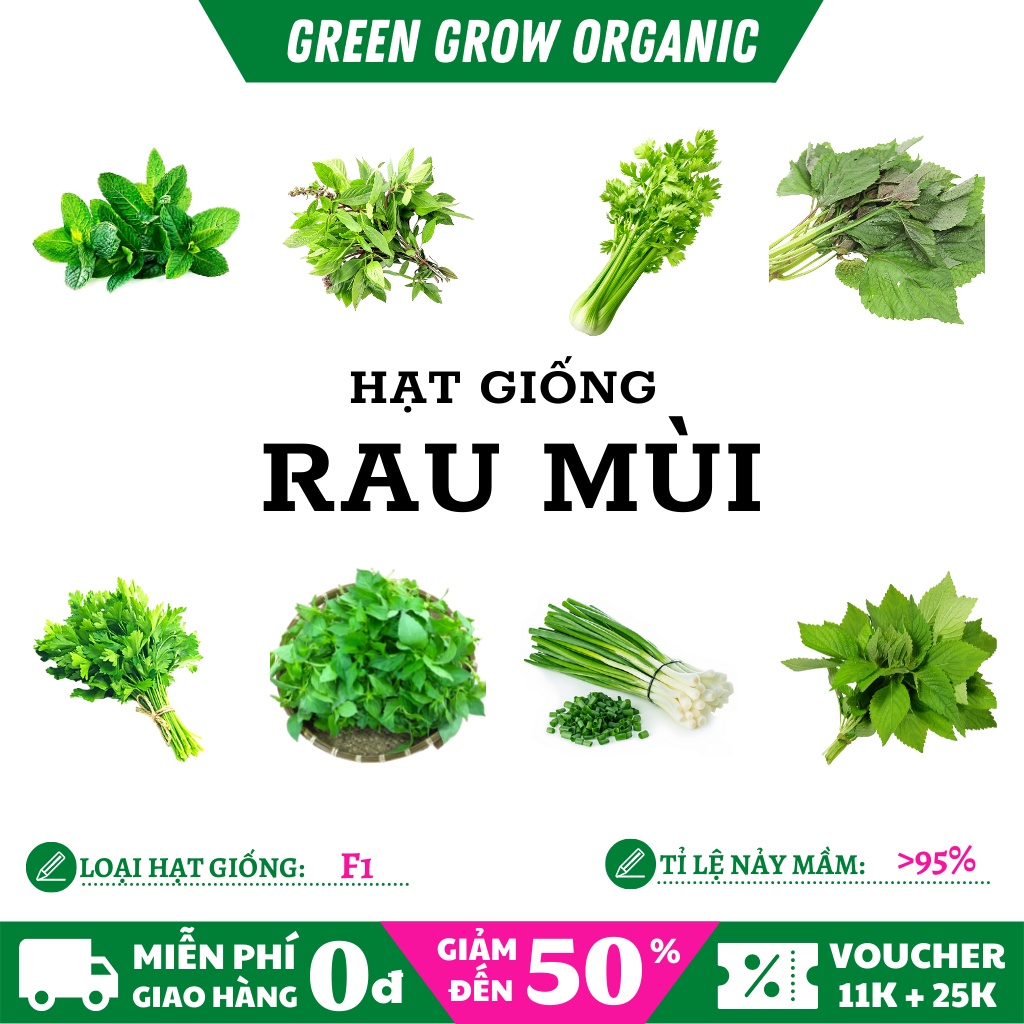 Hạt giống rau mùi GREEN GROW ORGANIC hạt giống hữu cơ chịu nhiệt tốt tỉ lệ nảy mầm cao