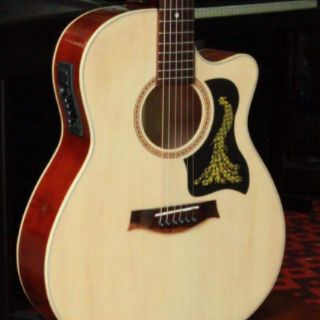 Guitar TNT —đã lắp  EQ7545