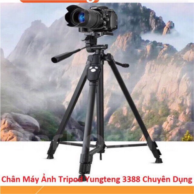 Gậy tripod 3388 chuyên nghiệp + nút chụp bluetooth ( sử dụng cho cả điện thoại và camera )