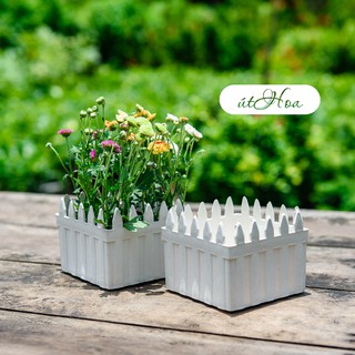 Chậu Hàng Rào dài 2 tấc trồng hoa kiểng dễ thương