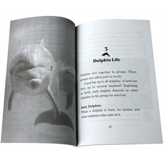 Bộ nhập 40q - MAGIC TREE HOUSE - FACT TRACKER