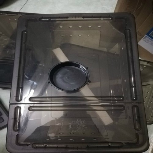 Hộp nuôi bò sát 32 x 22 x 15