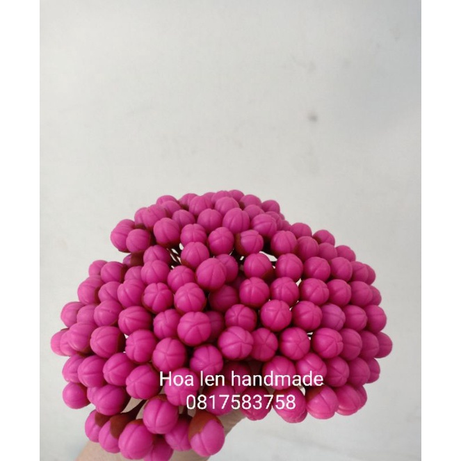 Nụ đào hồng đài nâu