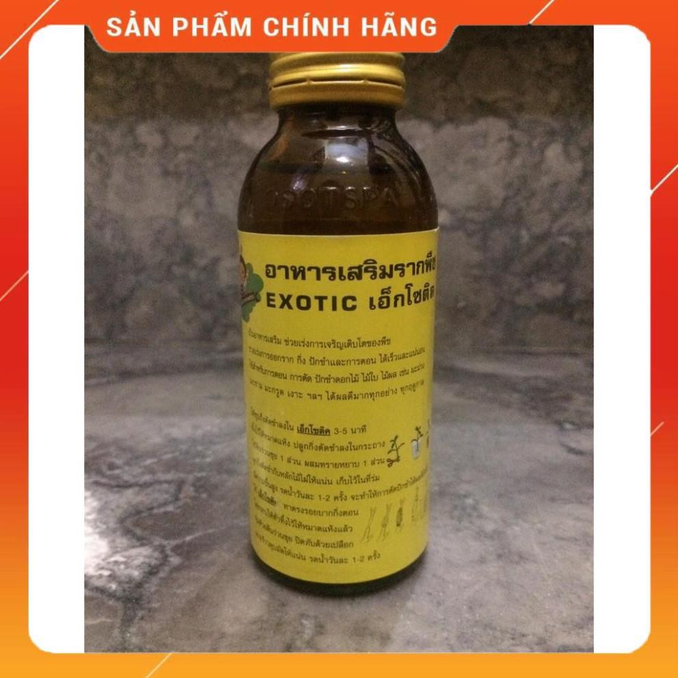 Kích rễ Thái cực mạnh - Exotic.