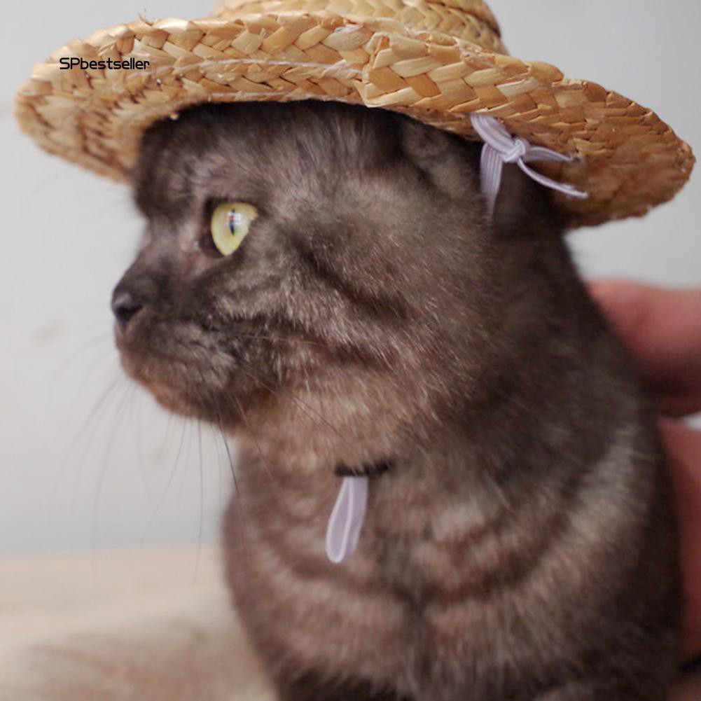 Mũ rơm che nắng cho thú cưng