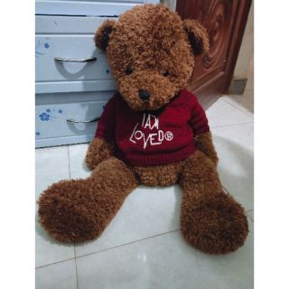 Gấu bông c hà uyên