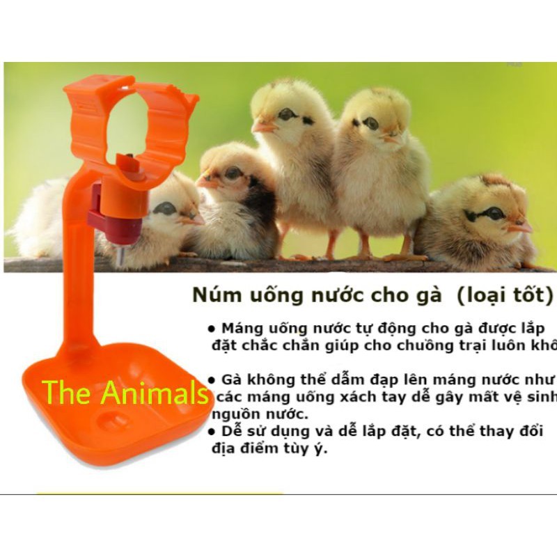 Núm uống 1 quai cho gà set 5 cái