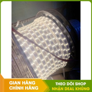 Nguyên cuộn đèn led dây đôi lõi đồng 2 hàng bóng 2835 - IP65 - 100m