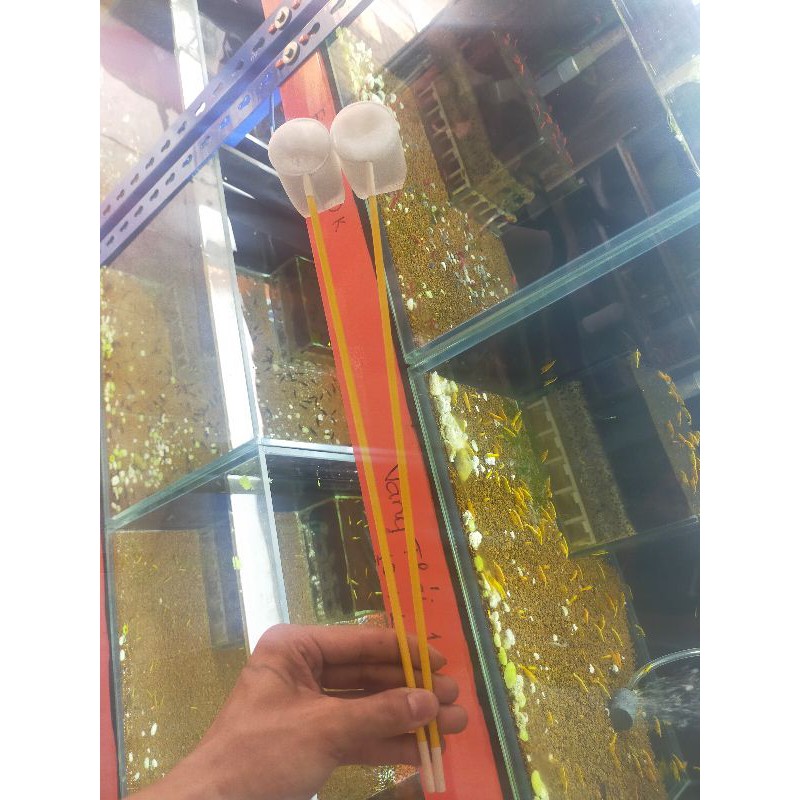 Vợt tép siêu bền