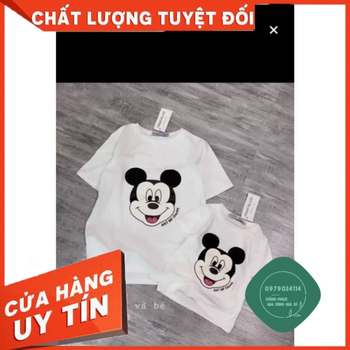 Áo thun giá sỉ  áo thun cotton cho mẹ và bé,áo thun cặp đôi-ấo thun gia đình(size 5-75kg)