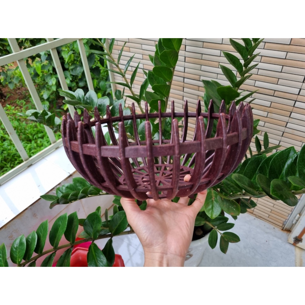 Chậu quả bí trồng lan đủ size