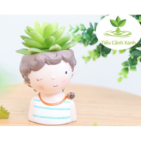 Chậu cây cậu bé ốc sên