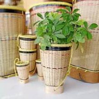 Gùi dân tộc nhí