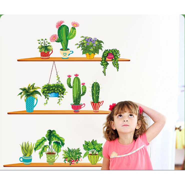 Decal trang trí tường Nhiều Chậu Xương Rồng