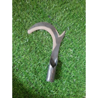 Cụ liêm dựt dừa
