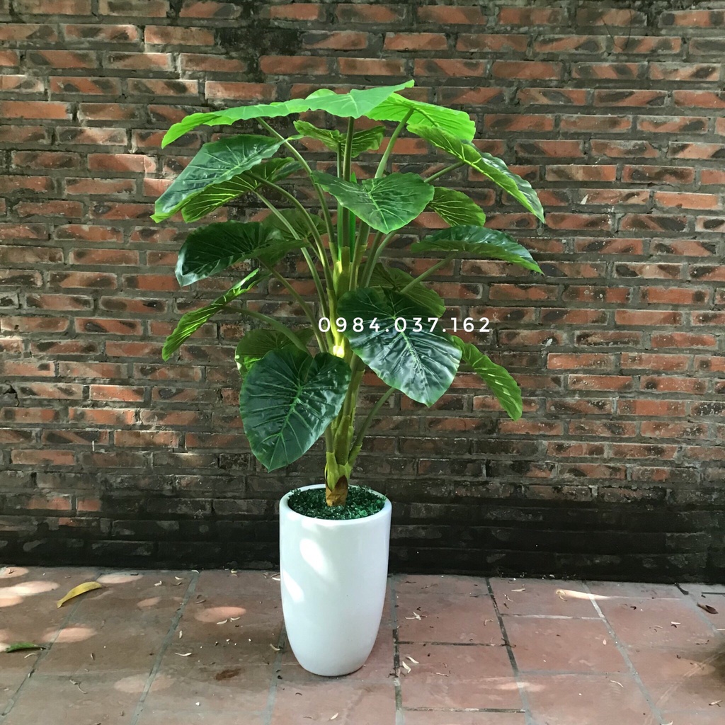 Cây Giả Trang Trí Văn Phòng - Cây Giả Siêu To Giá Rẻ