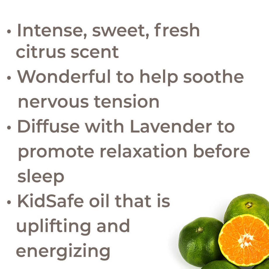 Plant Therapy - Tinh Dầu Vỏ Quýt Hữu Cơ - Mandarin Organic KidSafe Essential Oil - 10mL