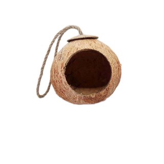 Tổ chim gáo dừa đơn