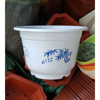 - chậu hoa văn trồng cây rộng 23cm x14cm cty chính hãng.