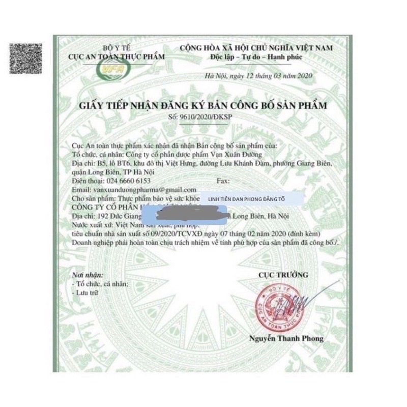 LINH TIÊN ĐẰNG SONG TỐ double caulis plus